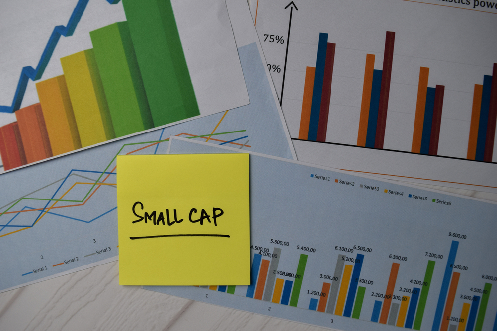 SMALL CAPS | O QUE SÃO, COMO INVESTIR E COMO GANHAR DINHEIRO 